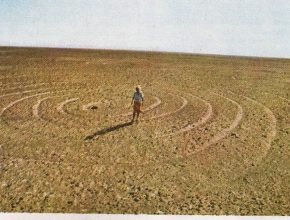Pampa Nazca 3